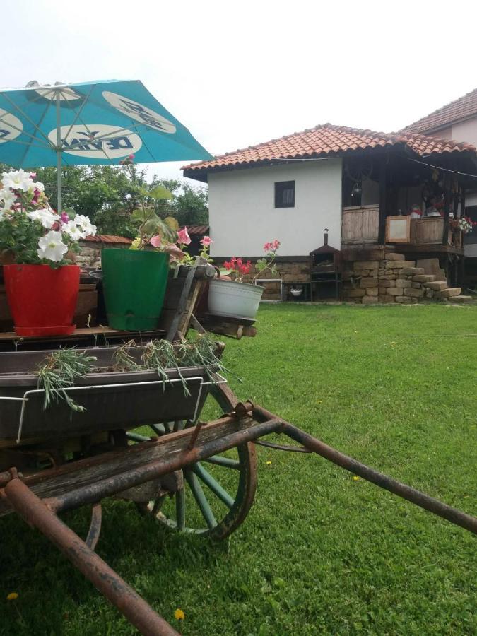 Събевата къща Hotel Sinio Burdo Екстериор снимка